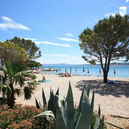 Διαμέρισμα In 50555