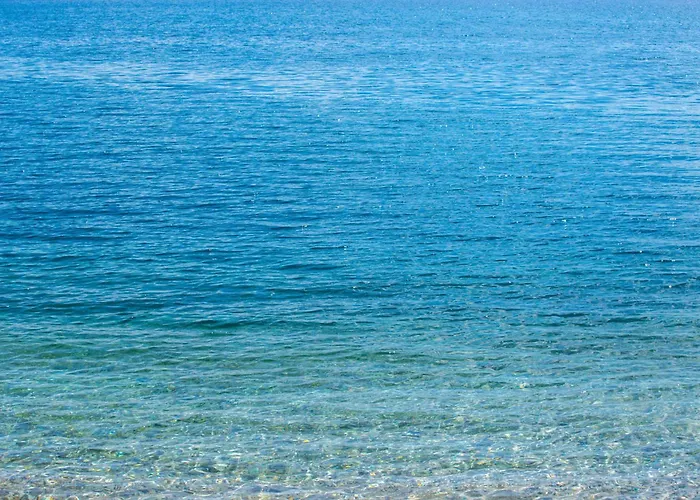 In 50555 *